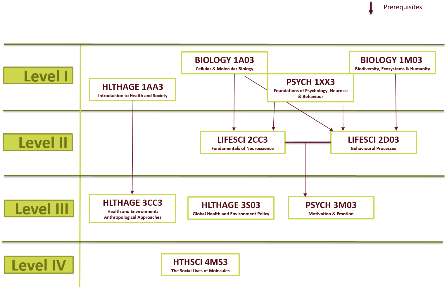 A course map of the Drugs, Humans and the Environment pathway (Option 3). Extended description found below.